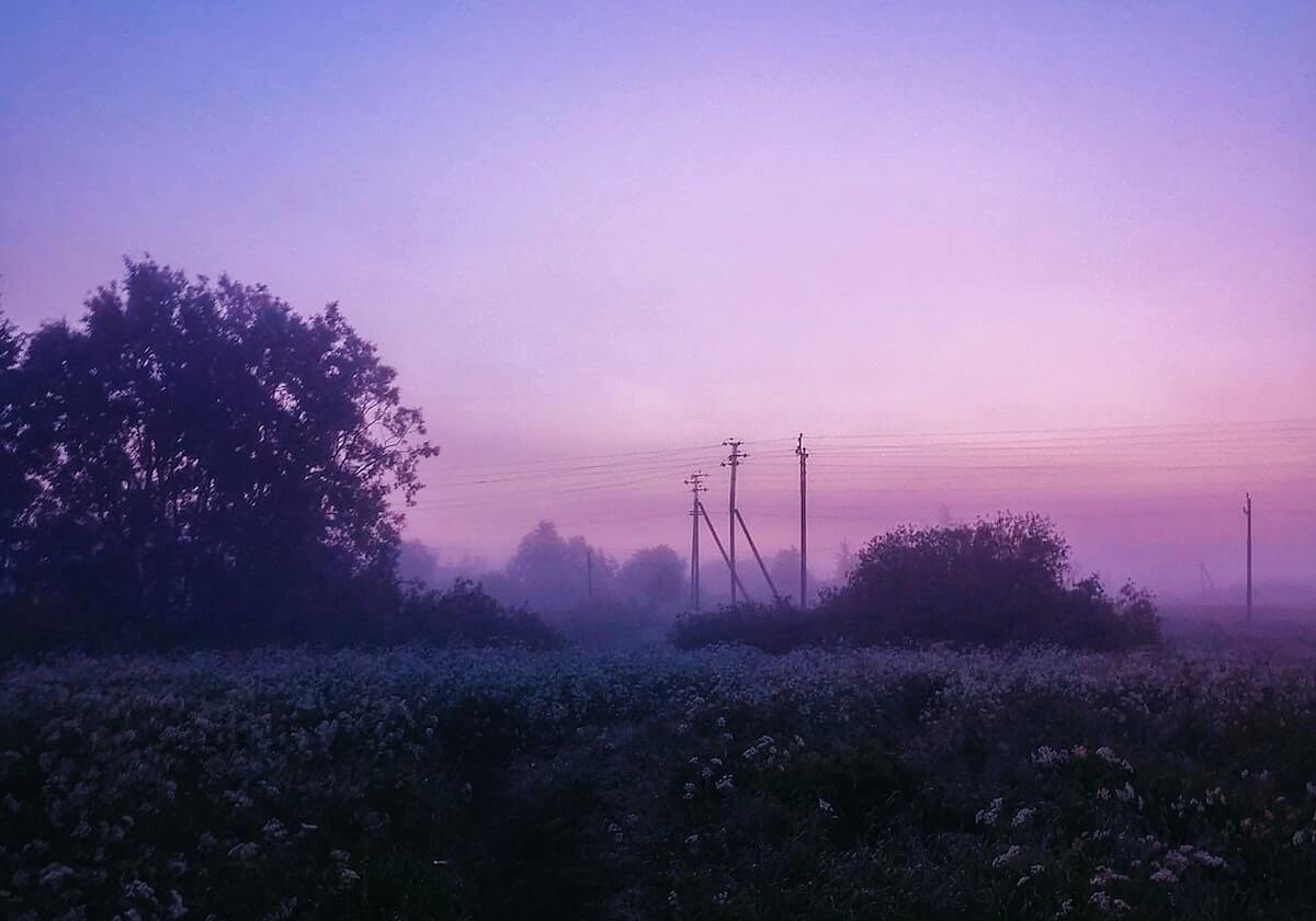 九游娱乐app：一站式移动娱乐的新纪元，尽享热血与智慧