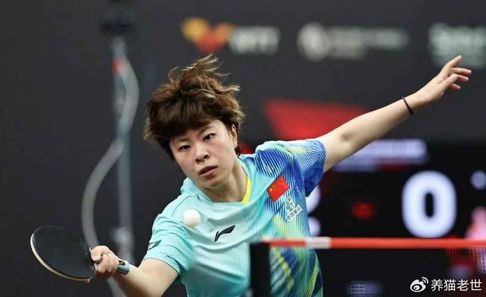 王艺迪输了，温特赢了，国乒下半区空了|王曼昱|WTT新加坡大满贯|莎宾·温特|张本美和|朱雨玲_新浪体育_新浪新闻